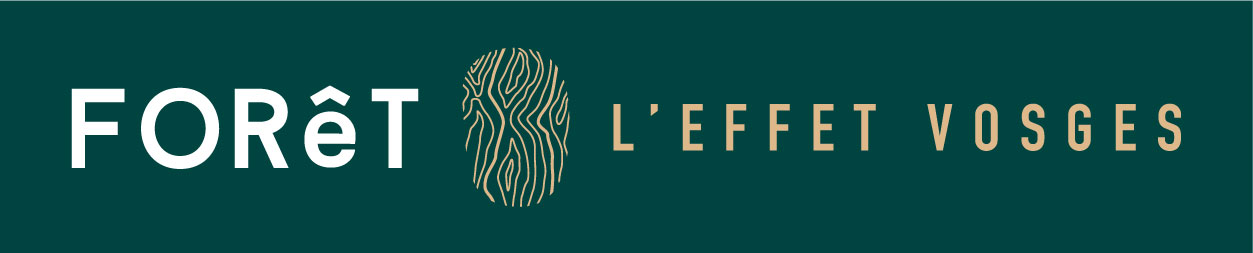 Forêt l'effet vosges